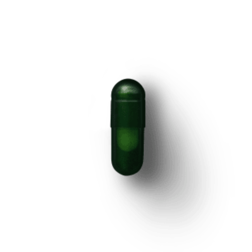 DS‑01® Daily Synbiotic